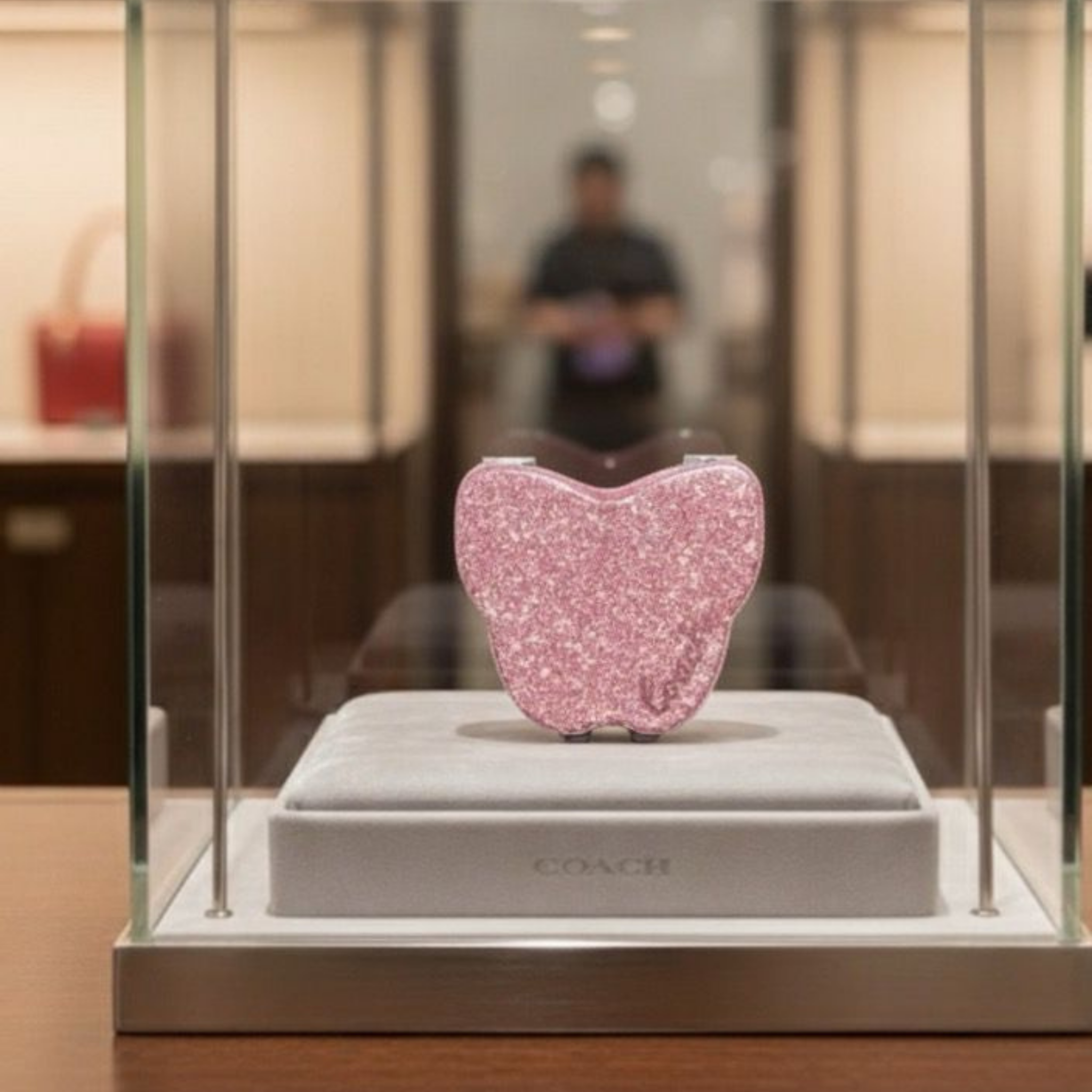 Espejo Coach Mariposa Rosa