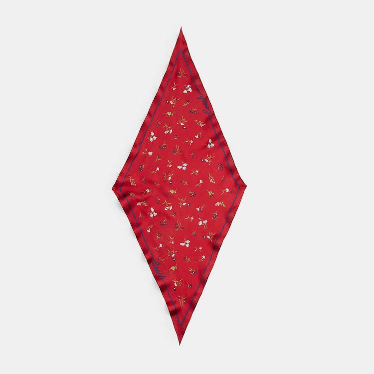 Pañuelo Coach Floral Print rojo